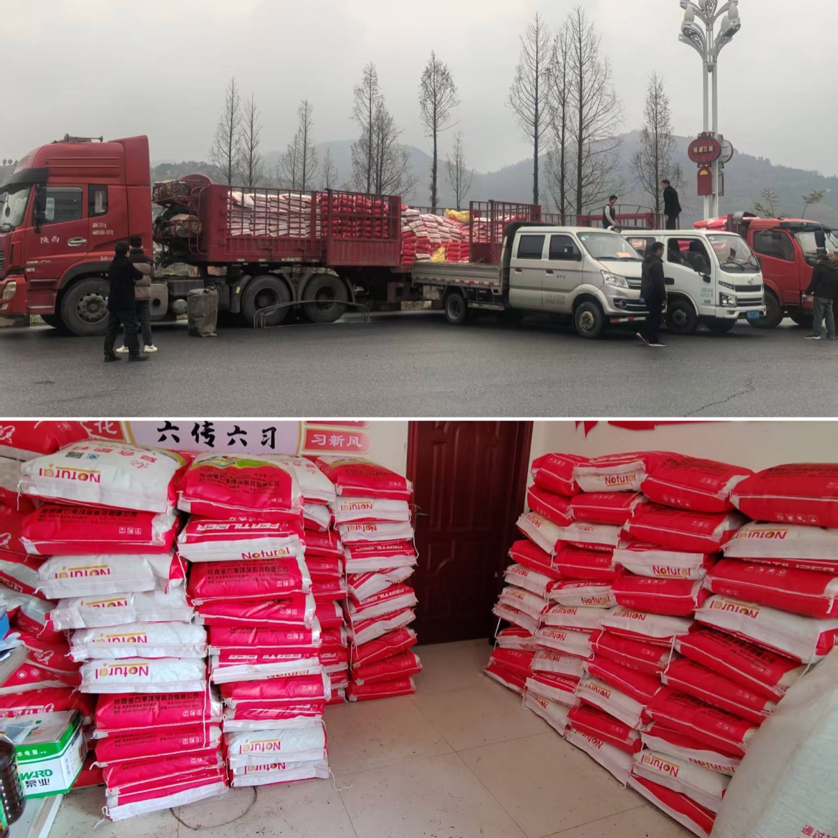 精准帮扶再发力 农资助产促增收