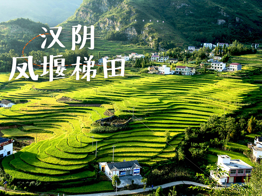 汉阴《凤堰梯田》微视频获评省级优秀科普作品传播案例