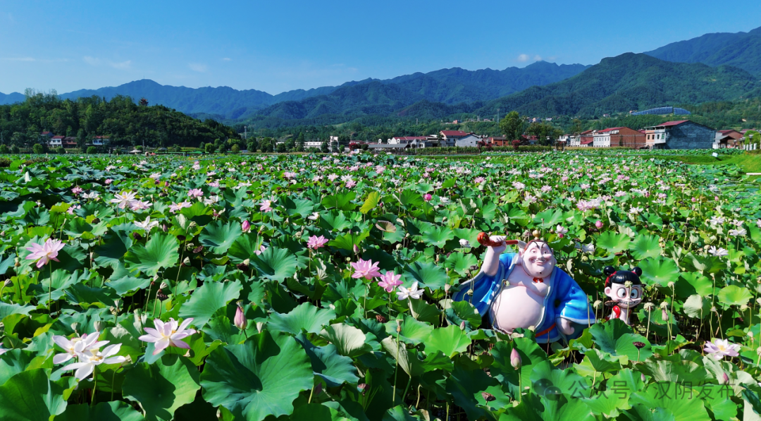 看汉阴这些村如何蹚出振兴路——双乳镇双乳村