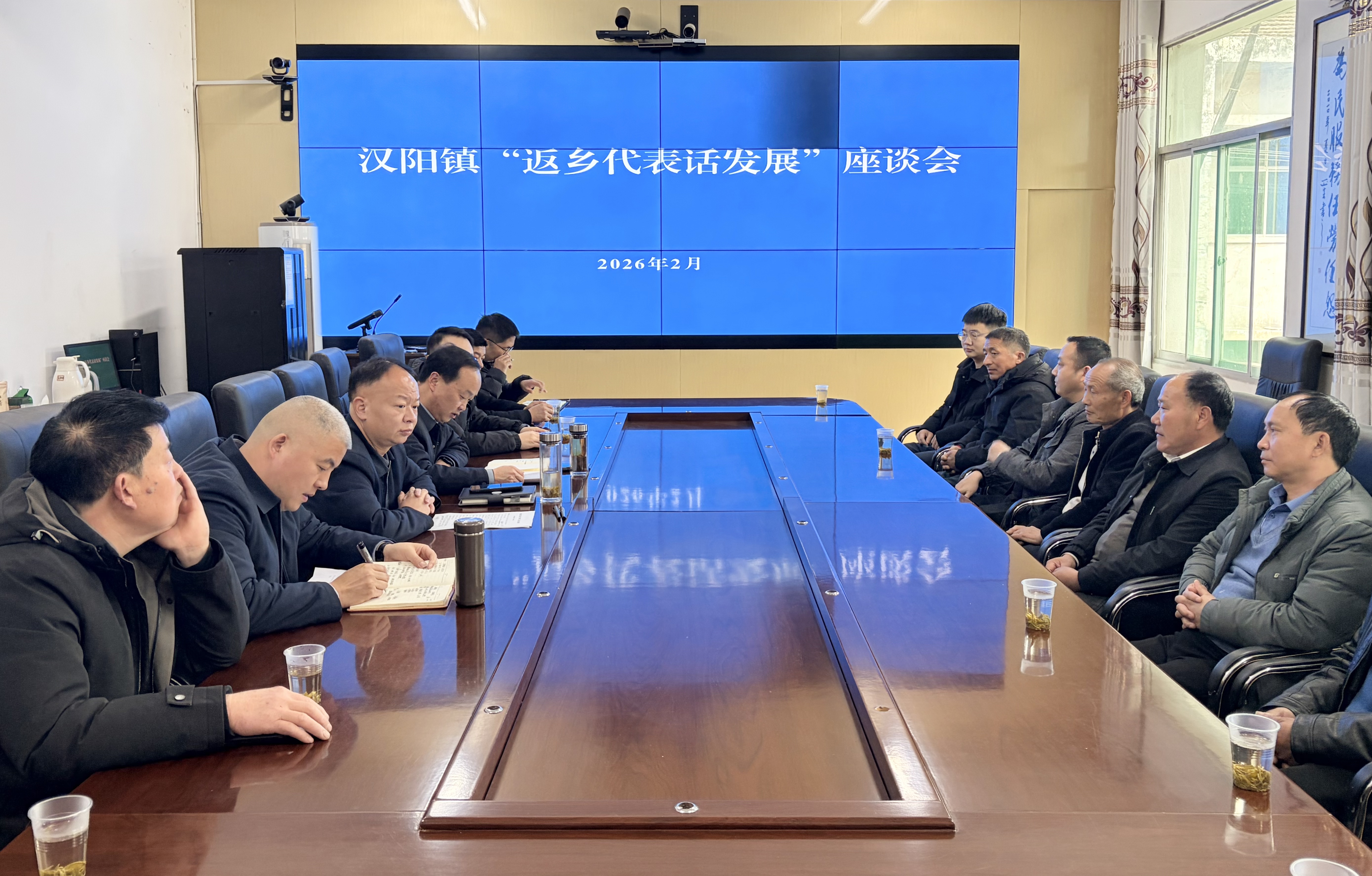 汉阳镇召开“返乡代表话发展”座谈会