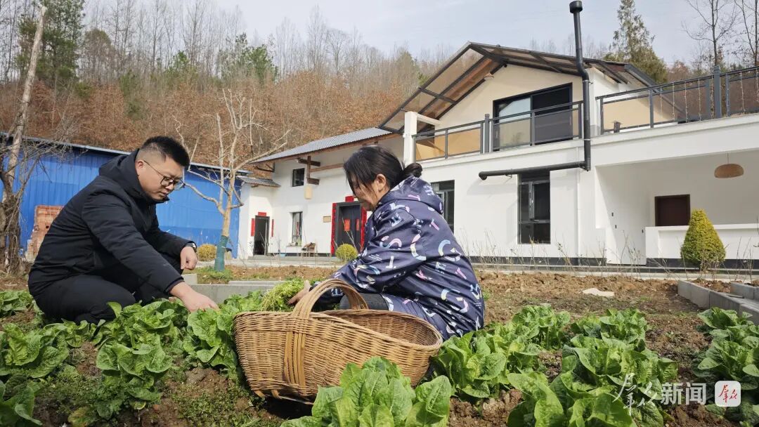【新春走基层】“回家”—— 汉阴青年刘磊返乡创业记