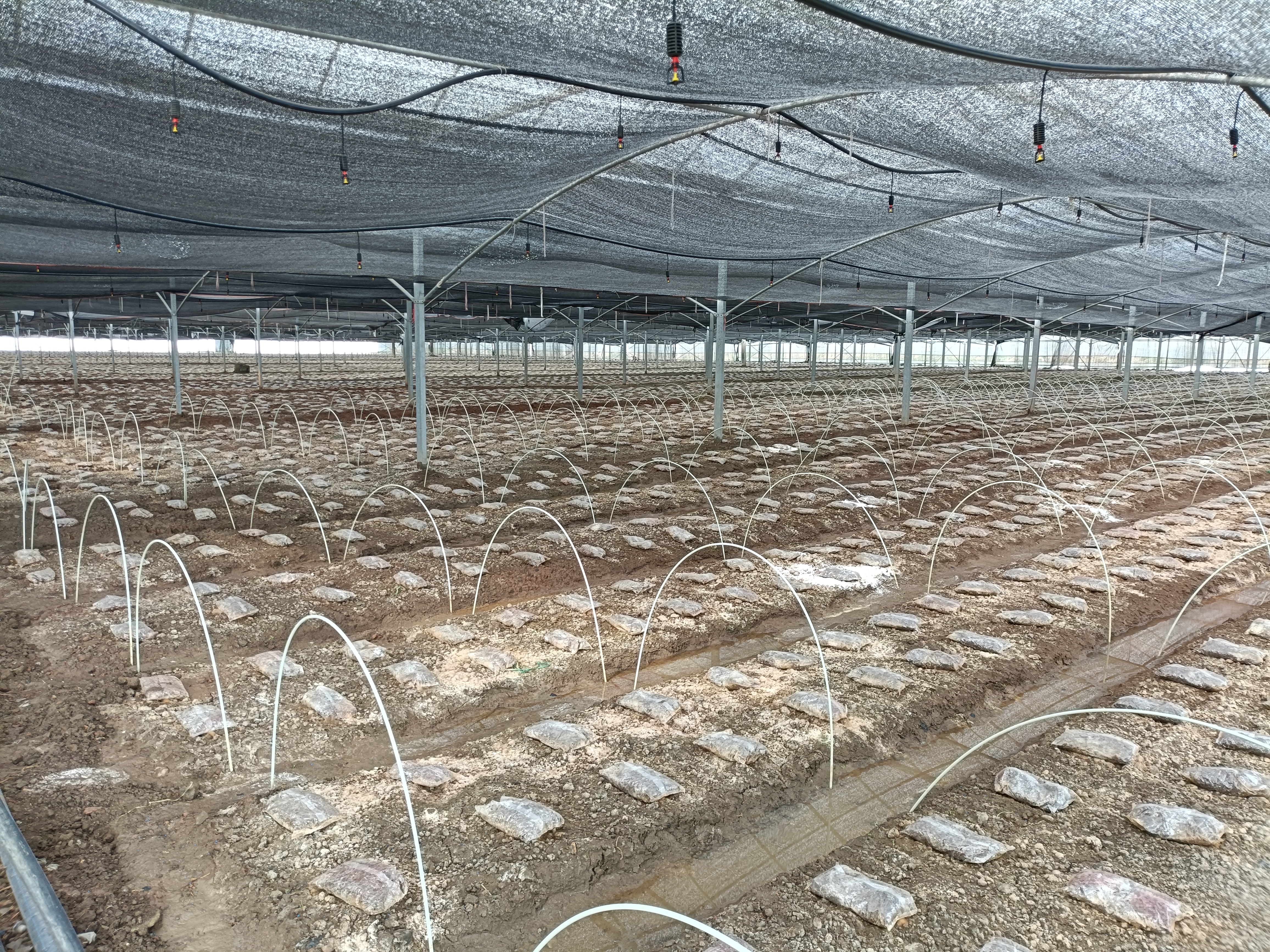 汉阴县涧池镇：田畴春意浓 万象“耕”新时