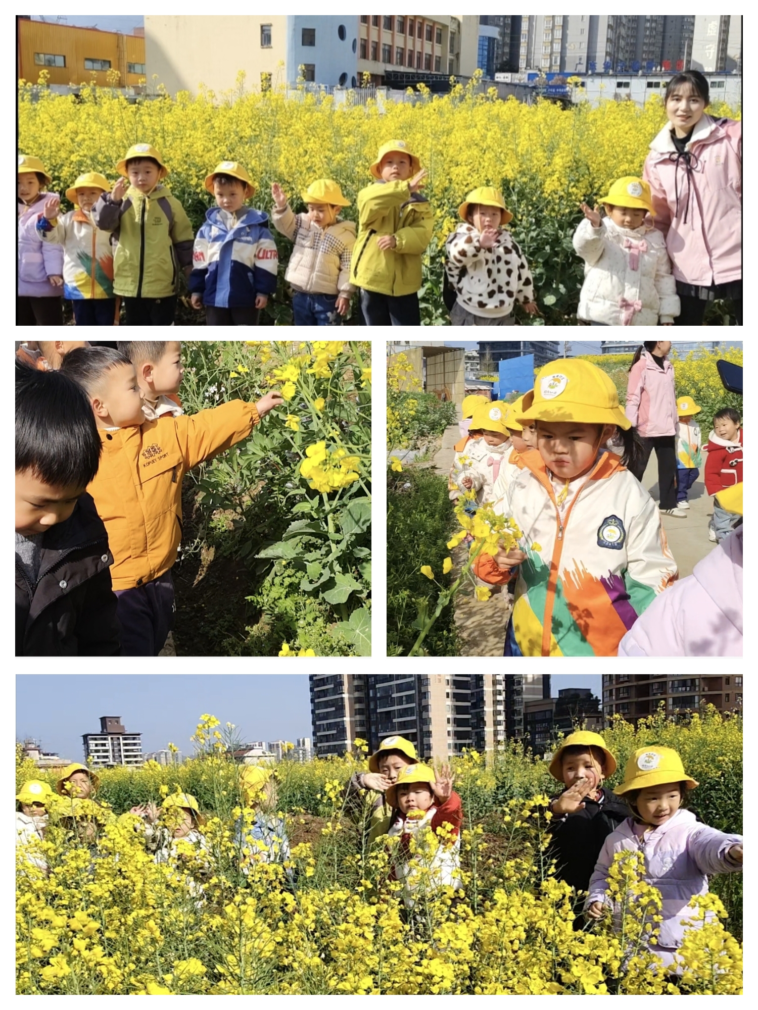 汉阴县凤台幼儿园：不负春日好时光 萌娃花海探自然