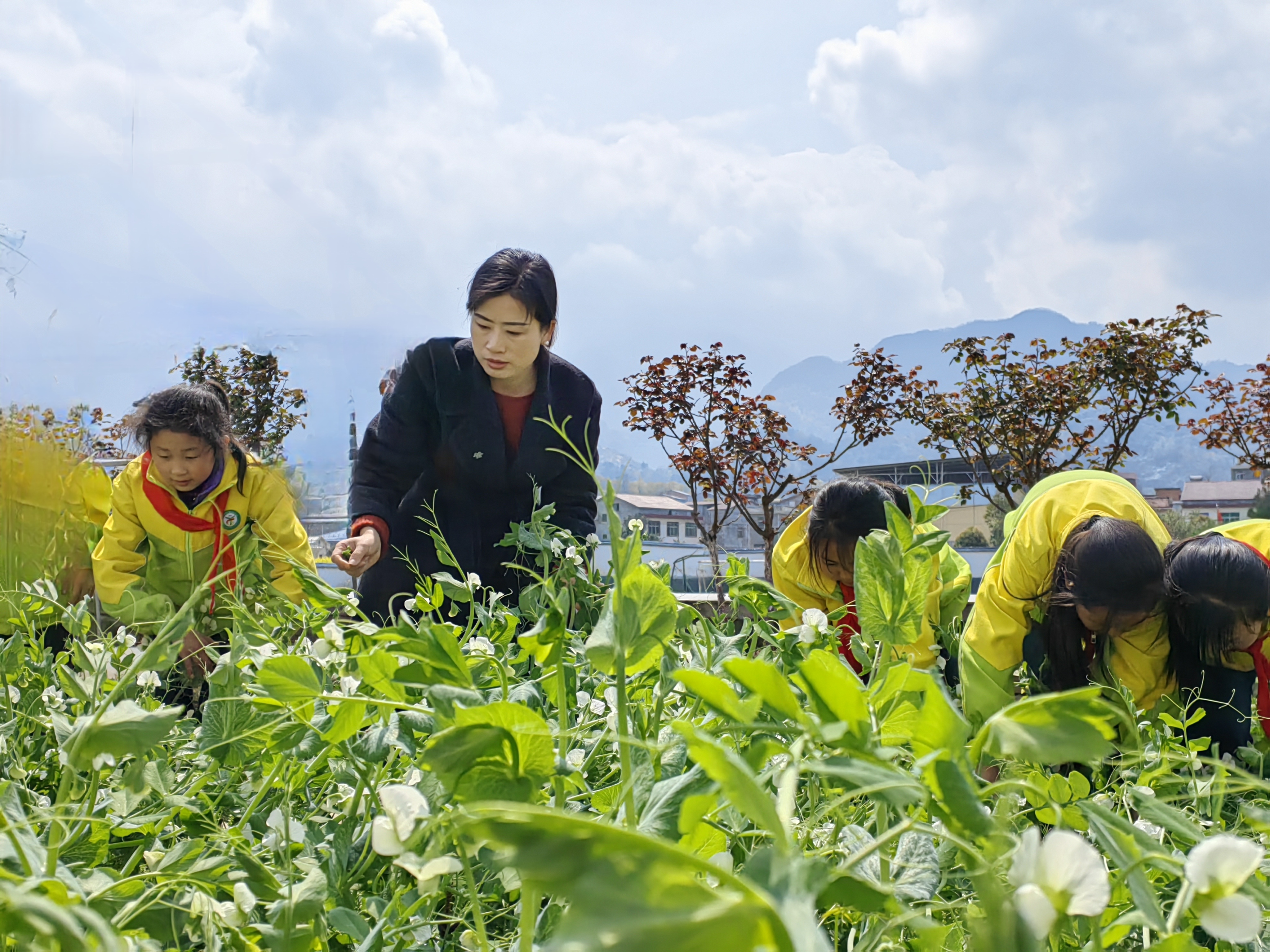 汉阴县第一小学五一校区：劳动实践赋能成长