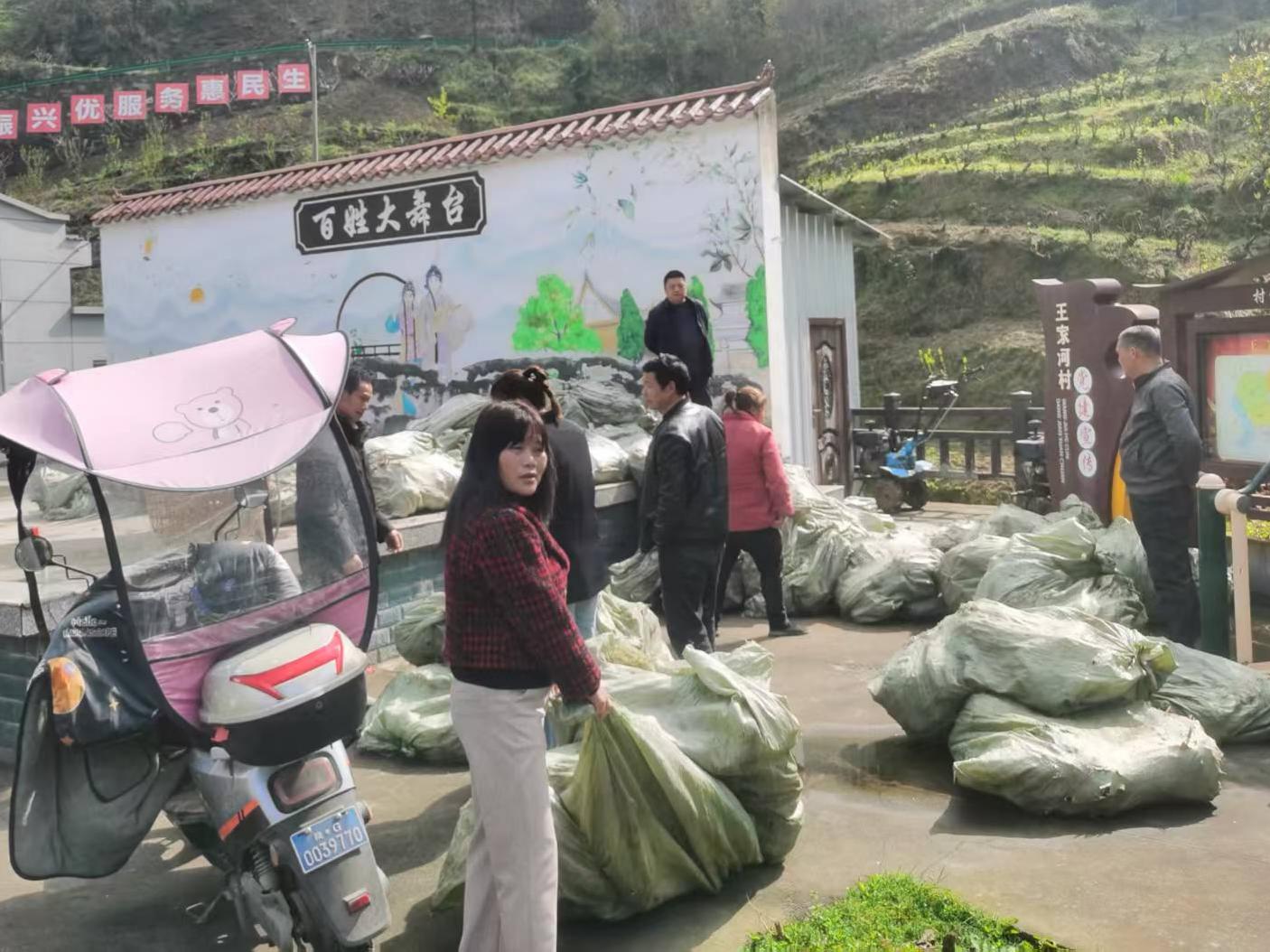 涧池镇王家河村：兴桑养蚕势头高涨