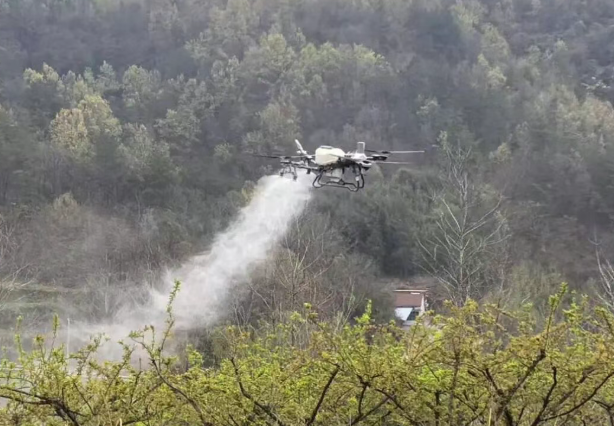 涧池镇栋梁村：强产业惠民生善治理 开启乡村振兴新图景