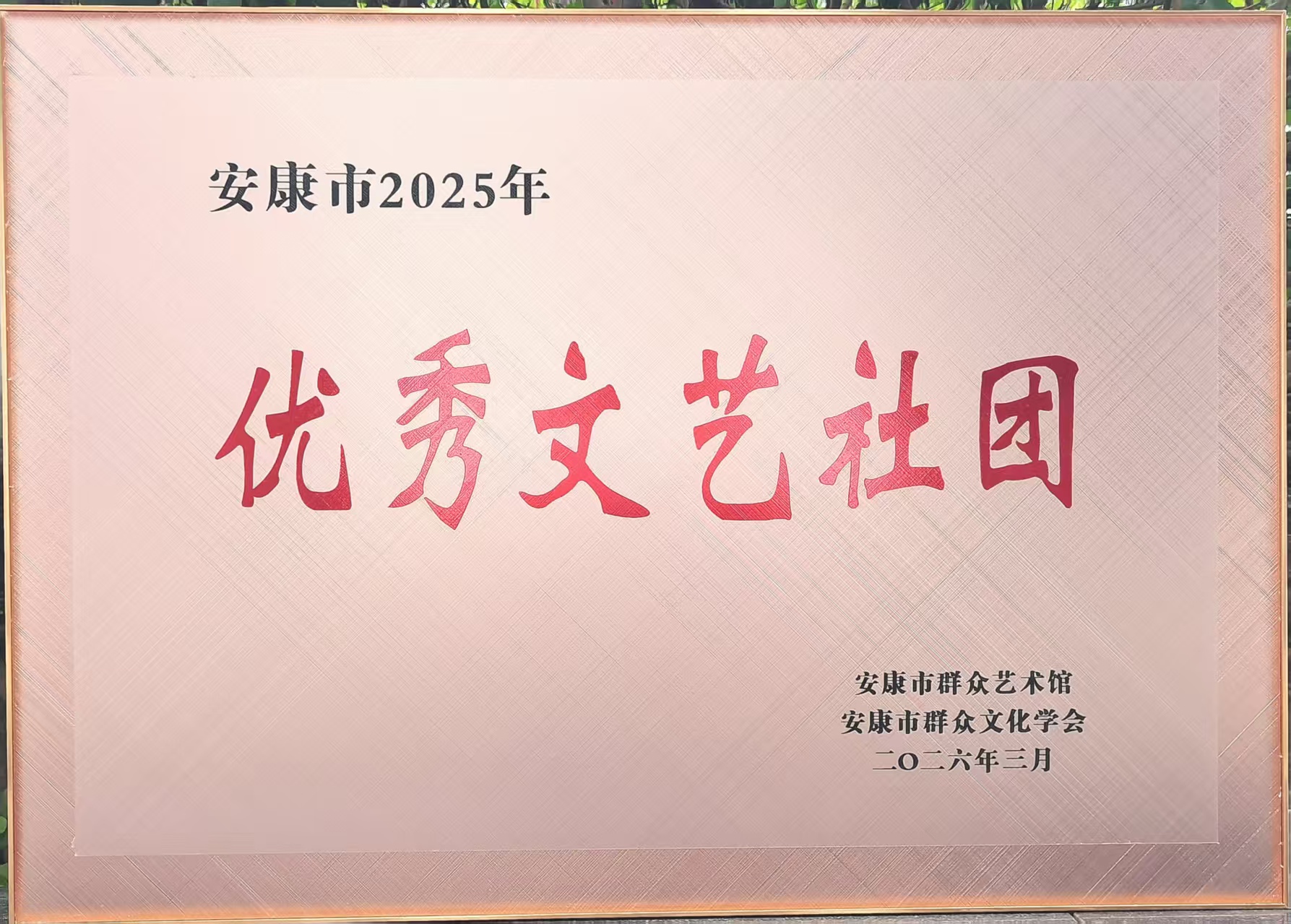 汉阴县城关镇凤台社区慈善老年大学荣获“安康市2025年优秀文艺社团”称号