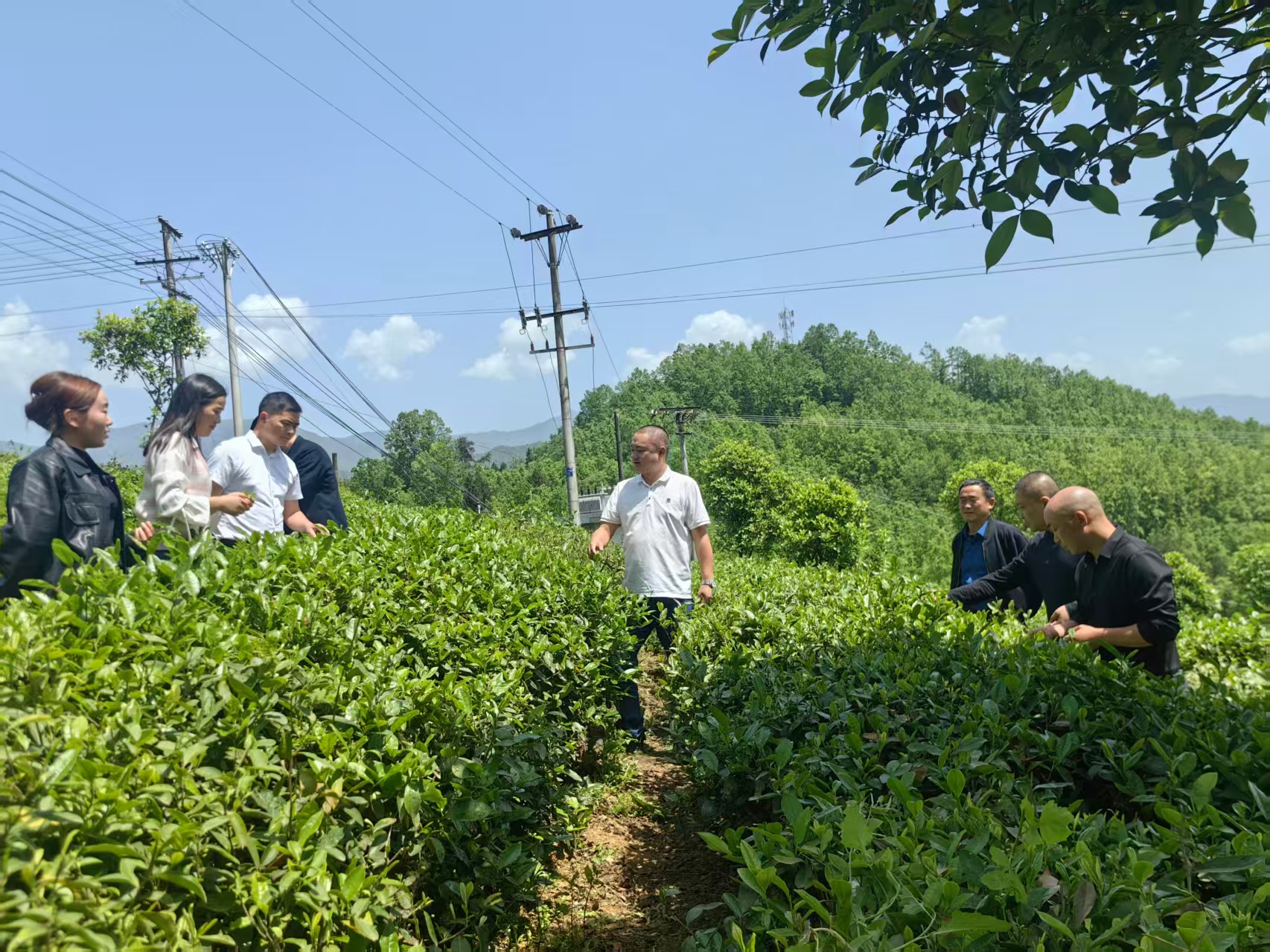 党建引领聚合力 村际联建促振兴