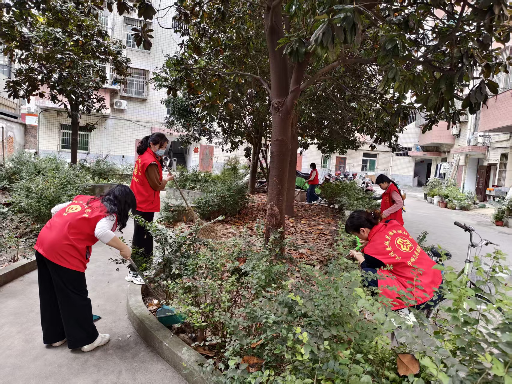 汉阴县城关镇：人居焕新绘乡村