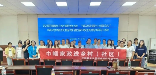 汉阳镇举办“爱心妈妈”驿站结对帮扶指导暨家政技能培训会