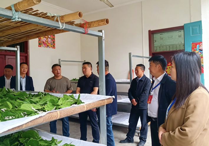 汉阴县人大：全力推动蚕桑产业提质升级