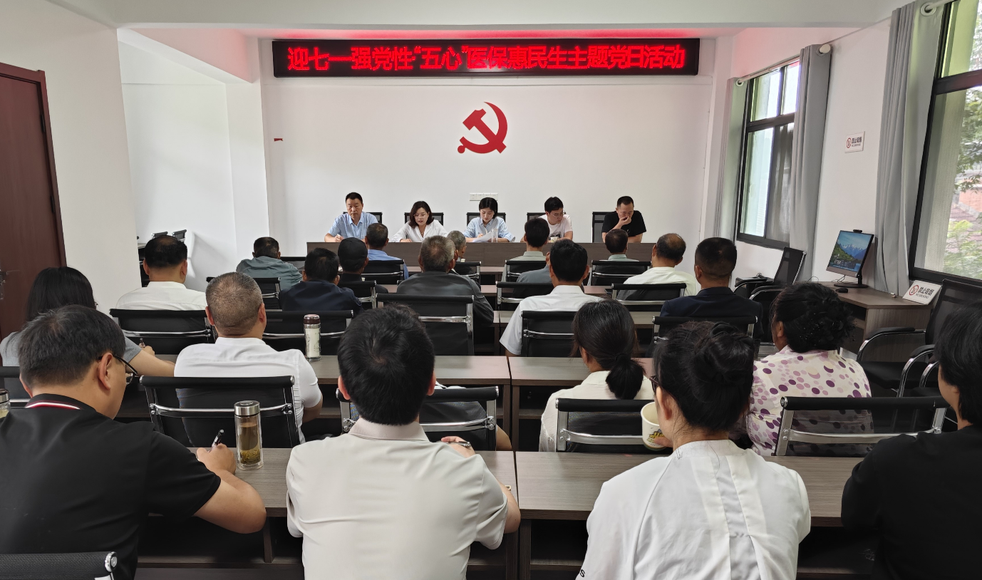 汉阴县医疗保障局党支部联合石家沟村党支部开展主题党日活动