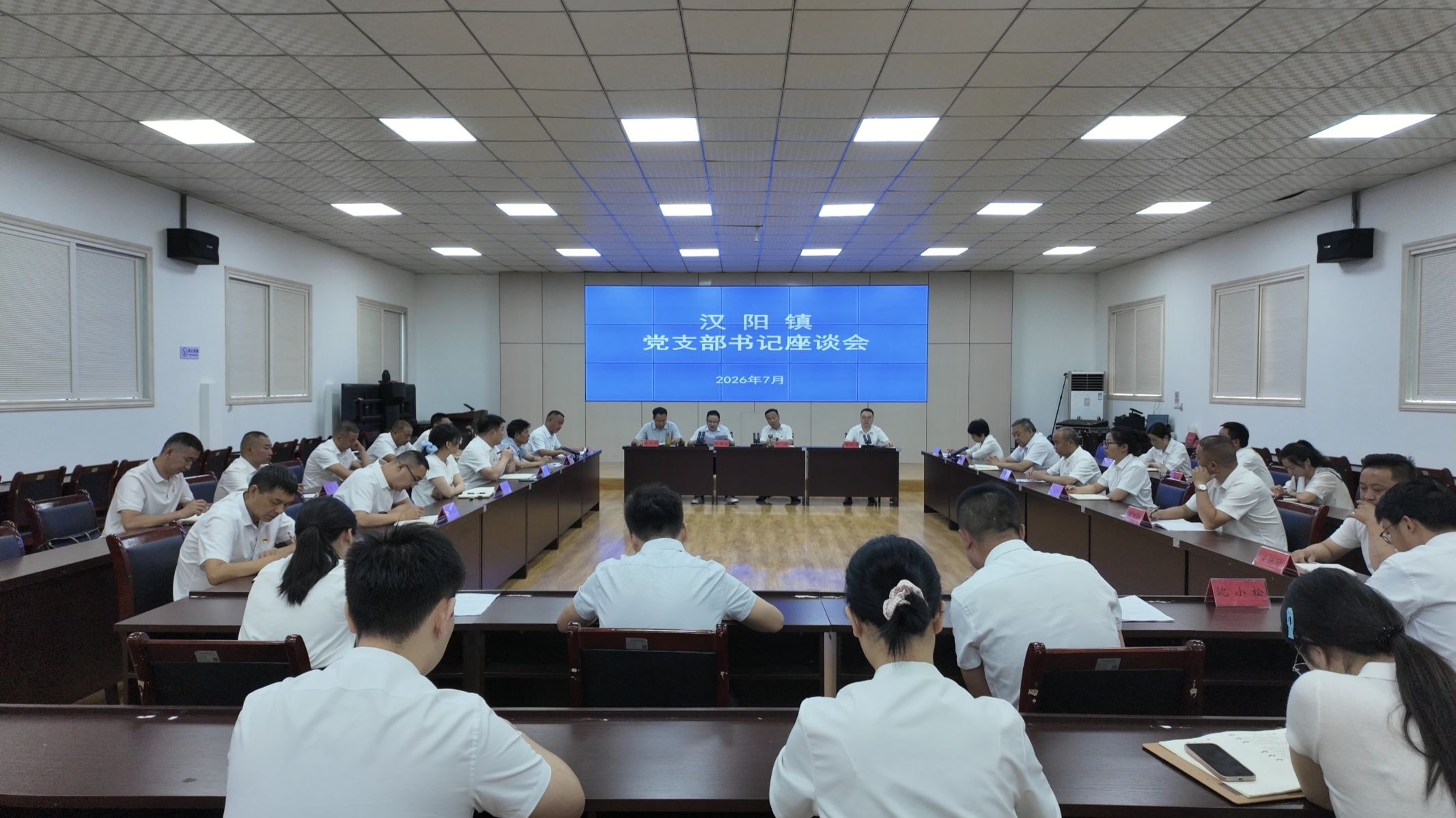 头雁齐聚话民生 凝心聚力促实干 ——汉阳镇召开党支部书记座谈会